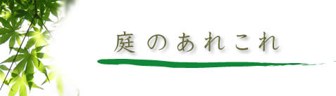 ��̂��ꂱ��