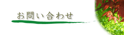 ���₢���킹