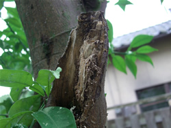 �s�K�؂ș���ŕ���A������������