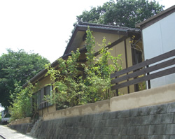 �y�̕������𐶂�������