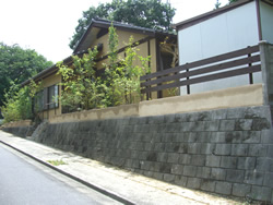 �y�̕������𐶂�������