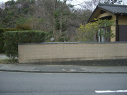 �y�̕������𐶂�������