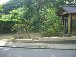 �y�̕������𐶂�������