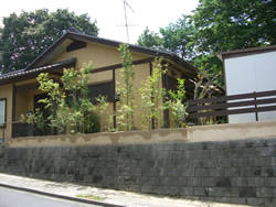 �y�̕������𐶂�������