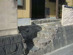 �y�̕������𐶂�������