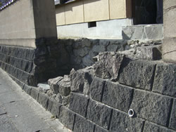 �y�̕������𐶂�������