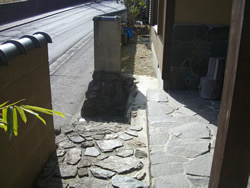 �y�̕������𐶂�������