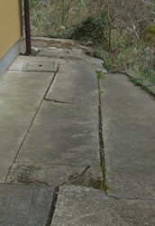 �y�̕������𐶂�������