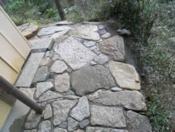 �y�̕������𐶂�������