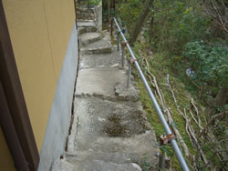 �y�̕������𐶂�������