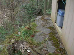 �y�̕������𐶂�������