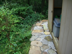 �y�̕������𐶂�������