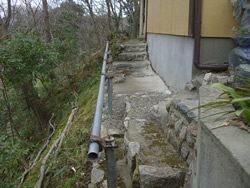 �y�̕������𐶂�������