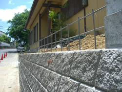 �y�̕������𐶂�������