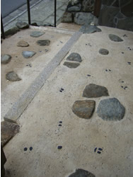 �y�̕������𐶂�������