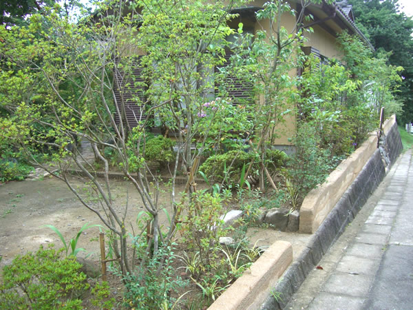 �y�̕������𐶂�������