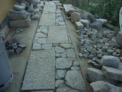 �y�̕������𐶂�������