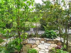 �e���X�O�{�H��