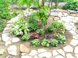 �e���X����