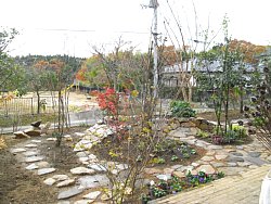 �e���X����