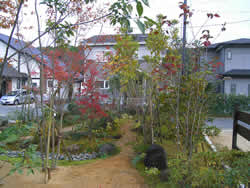 雑木の庭
