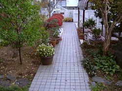 �ΐς݂̂����